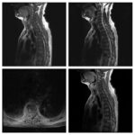 Weekly Image Challenge – May 1, 2022