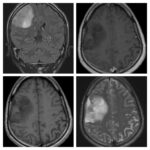 Weekly Image Challenge – February 12, 2022