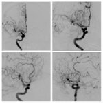 Weekly Image Challenge – March 26, 2022