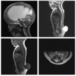 Weekly Image Challenge – April 3, 2022