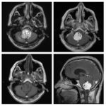 Weekly Image Challenge – May 28, 2022