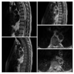 Weekly Image Challenge – July 3, 2022