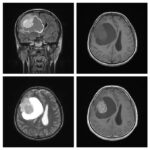 Weekly Image Challenge – July 31, 2022