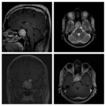 Weekly Image Challenge – August 21, 2022