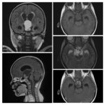 Weekly Image Challenge – August 28, 2022