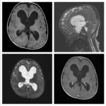 Weekly Image Challenge – September 18, 2022