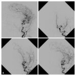 Weekly Image Challenge – November 20, 2022