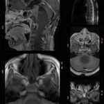 Weekly Image Challenge – December 11, 2022