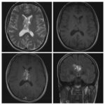 Weekly Image Challenge – December 4, 2022