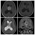 Weekly Image Challenge – January 1, 2023