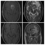 Weekly Image Challenge – January 8, 2023