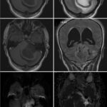 Weekly Image Challenge – February 26, 2023