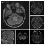 Weekly Image Challenge – March 19, 2023