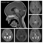 Weekly Image Challenge – March 26, 2023