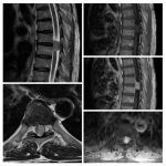 Weekly Image Challenge – April 16, 2023
