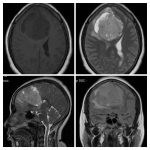 Weekly Image Challenge – July 23, 2023