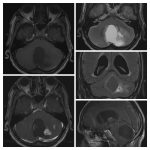 Weekly Image Challenge – August 6, 2023