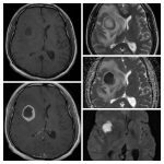 Weekly Image Challenge – August 14, 2023