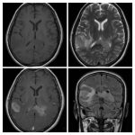 Weekly Image Challenge – November 5, 2023