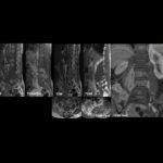 Weekly Image Challenge – October 26, 2024