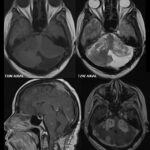 Weekly Image Challenge – October 12, 2024