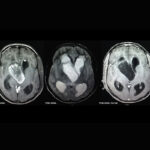 Weekly Image Challenge – October 19, 2024