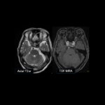 Weekly Image Challenge – November 9, 2024