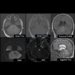 Weekly Image Challenge – November 16, 2024