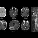 Weekly Image Challenge – December 28, 2024