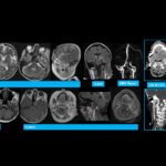 Weekly Image Challenge – January 4, 2025