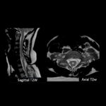 Weekly Image Challenge – February 15, 2025