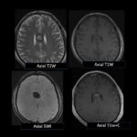 Weekly Image Challenge – February 22, 2025