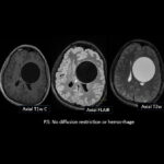 Weekly Image Challenge – February 8, 2025