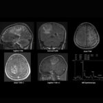 Weekly Image Challenge – March 22, 2025