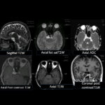 Weekly Image Challenge – March 29, 2025