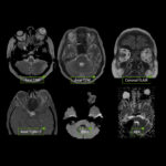 Weekly Image Challenge – March 1, 2025