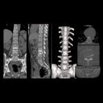 Weekly Image Challenge – March 15, 2025