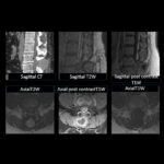 Weekly Image Challenge – April 5, 2025