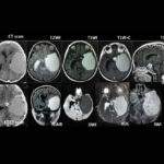 Weekly Image Challenge – April 26, 2025