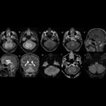 Weekly Image Challenge – May 10, 2025