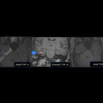 Weekly Image Challenge – June 13, 2025