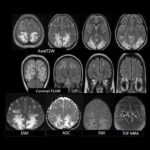 Weekly Image Challenge – June 7, 2025