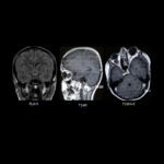 Weekly Image Challenge – July 19, 2025