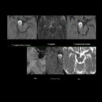 Weekly Image Challenge – August 16, 2025