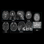 Weekly Image Challenge – August 2, 2025