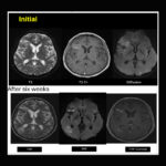 Weekly Image Challenge – September 20, 2025