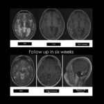 Weekly Image Challenge – September 6, 2025