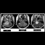 Weekly Image Challenge – October 4, 2025